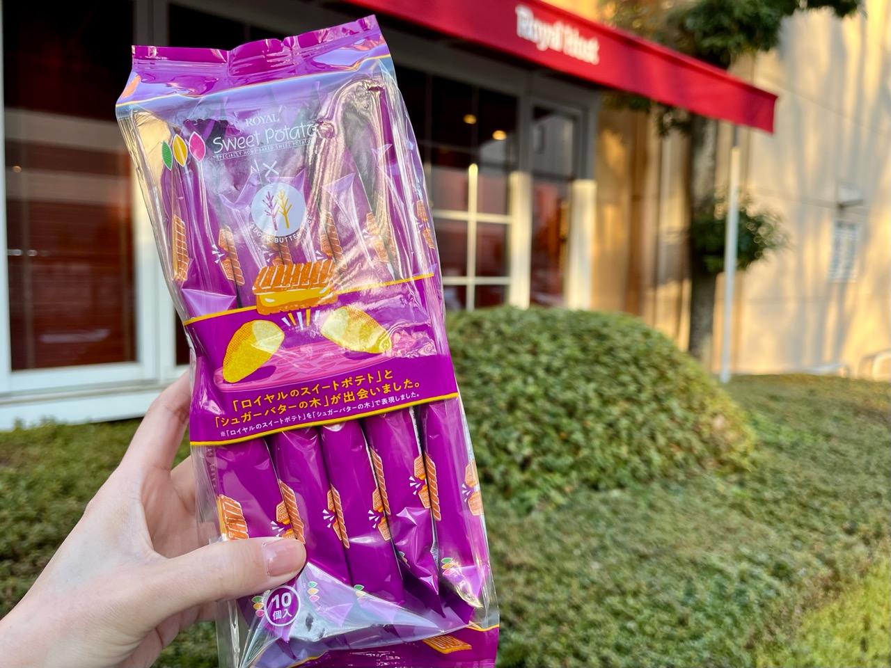 ロイヤルホストに「シュガーバターサンドの木」がある…!? 芋好き歓喜の