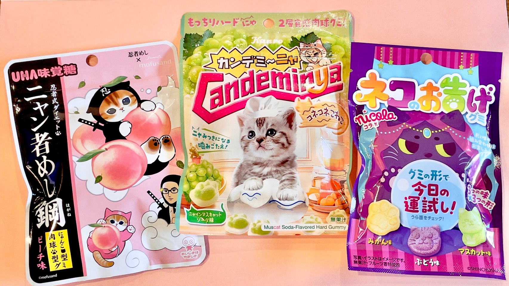 カンデミーナも忍者めしも猫ver.に変身！ にゃんこ好きさんパケ買い