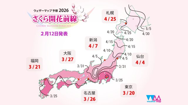 【2026春、桜開花予想】トップバッターはまさかの「東京」!?西日本は平年並みで東日本はやや早めみたいです🌸 【2026春、桜開花予想】トップバッターはまさかの「東京」!?西日本は平年並みで東日本はやや早めみたいです🌸