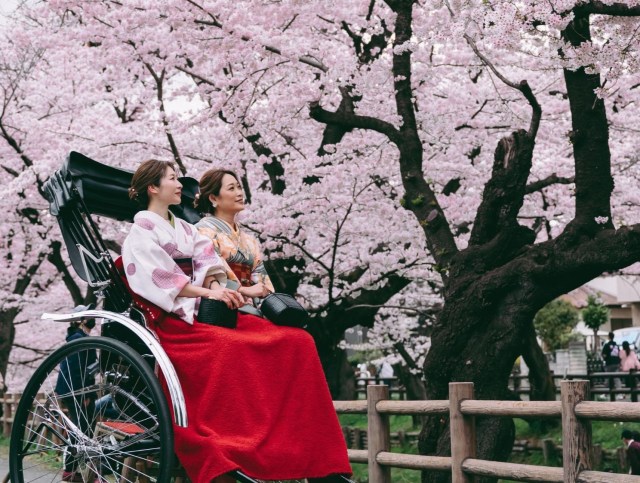 クルーズや人力車のツアー、ホテル滞在でゆったり♡Pouch厳選🌸桜を鑑賞できるお出かけ&旅プラン11選 クルーズや人力車のツアー、ホテル滞在でゆったり♡Pouch厳選🌸桜を鑑賞できるお出かけ&旅プラン11選
