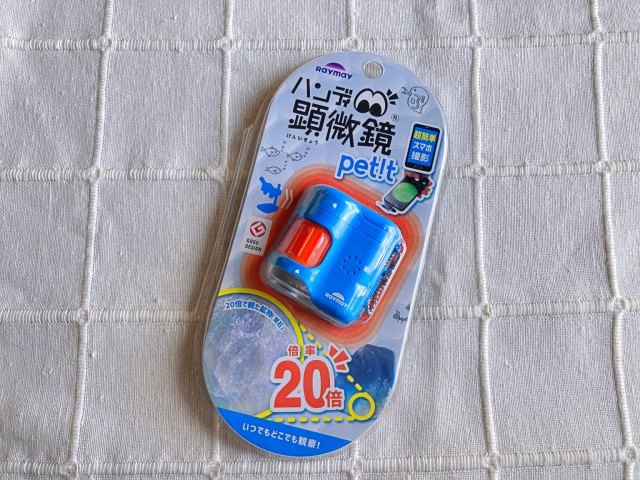 子どもとのいつものお散歩コースが研究対象に！Amazonで見つけた「ハンディ顕微鏡 petit」使ってみた