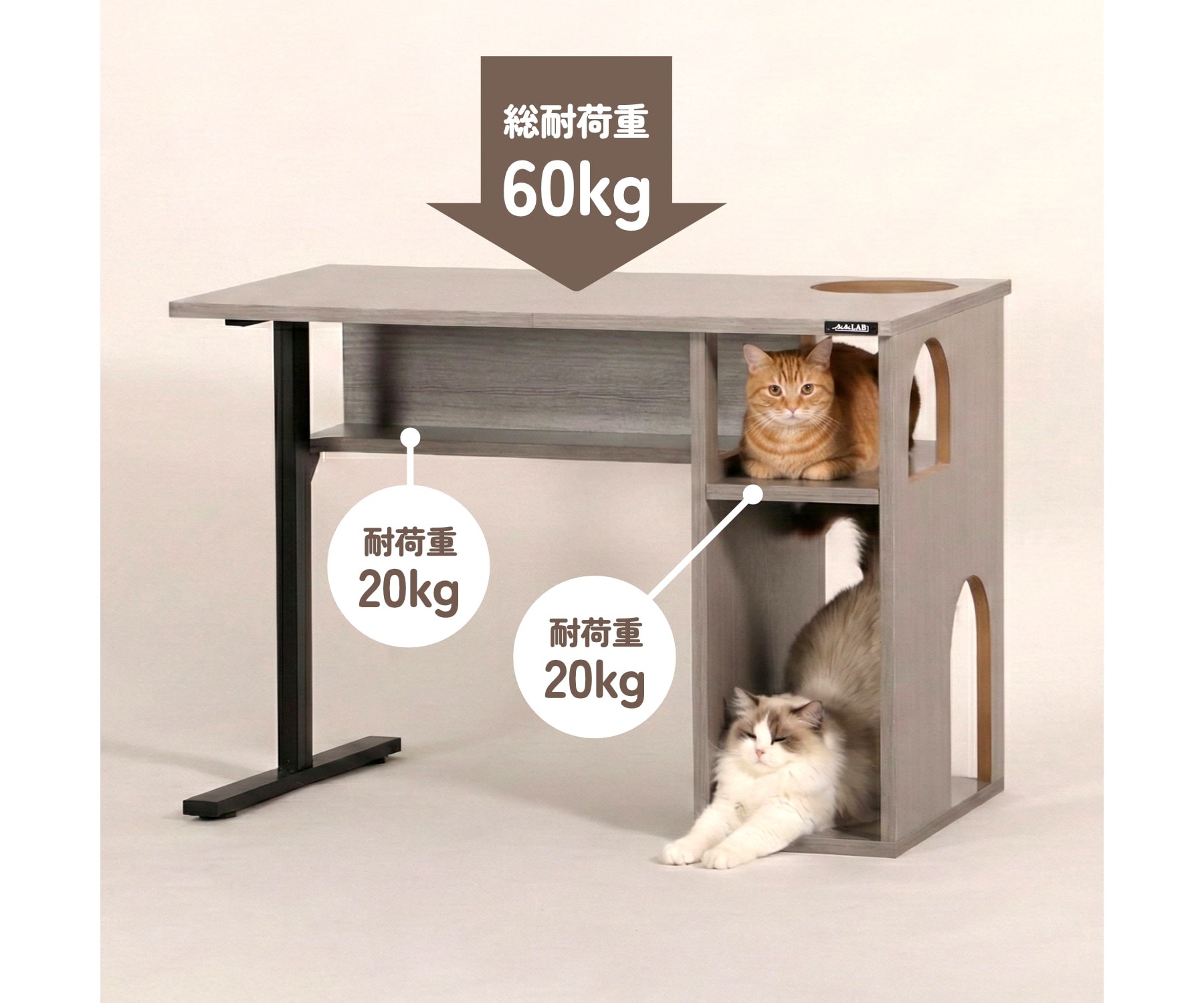 猫と一緒に働きたい。その夢、叶えます🐈「おひざアクセスゲート」搭載