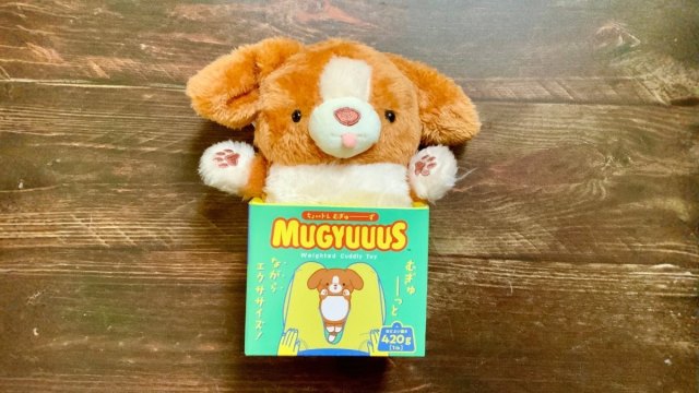 ぬいぐるみとエクササイズできる「むぎゅーず」と地味トレ🐶足を組む癖やデスクワークにストレスを感じている人にもおすすめです ぬいぐるみとエクササイズできる「むぎゅーず」と地味トレ🐶足を組む癖やデスクワークにストレスを感じている人にもおすすめです
