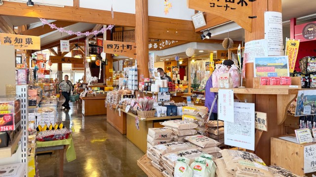 【高知県のお土産】地元民のおすすめのお土産3選＋α🎣塩けんぴにラスク、かんざし？？意外と知らないものが多かったよ！