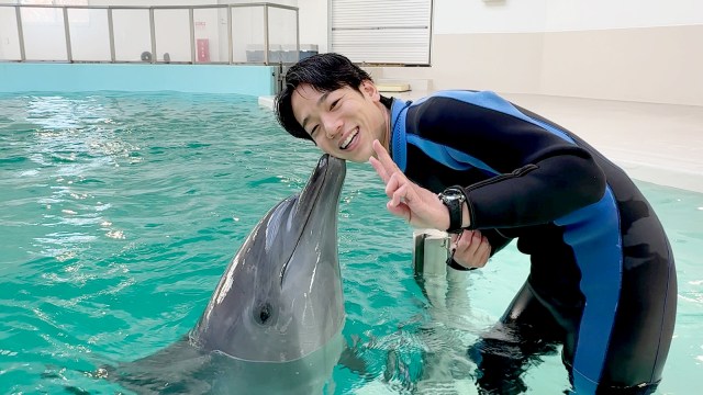 大人もワーキャー止まらない!大阪旅行で絶対行きたい、ガチ恋の距離でイルカと触れ合える「ノアドルフィンドーム」体験レポ! 大人もワーキャー止まらない!大阪旅行で絶対行きたい、ガチ恋の距離でイルカと触れ合える「ノアドルフィンドーム」体験レポ!