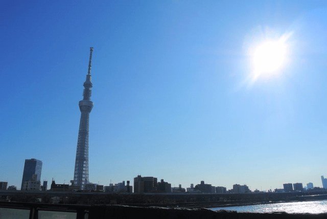 歌舞伎にリア王、キングダムまで選りすぐりの公演を半額で体験できる「夏の都民半額観劇会」開催!応募方法がアナログでなんだかワクワクするよ🌱 歌舞伎にリア王、キングダムまで選りすぐりの公演を半額で体験できる「夏の都民半額観劇会」開催!応募方法がアナログでなんだかワクワクするよ🌱