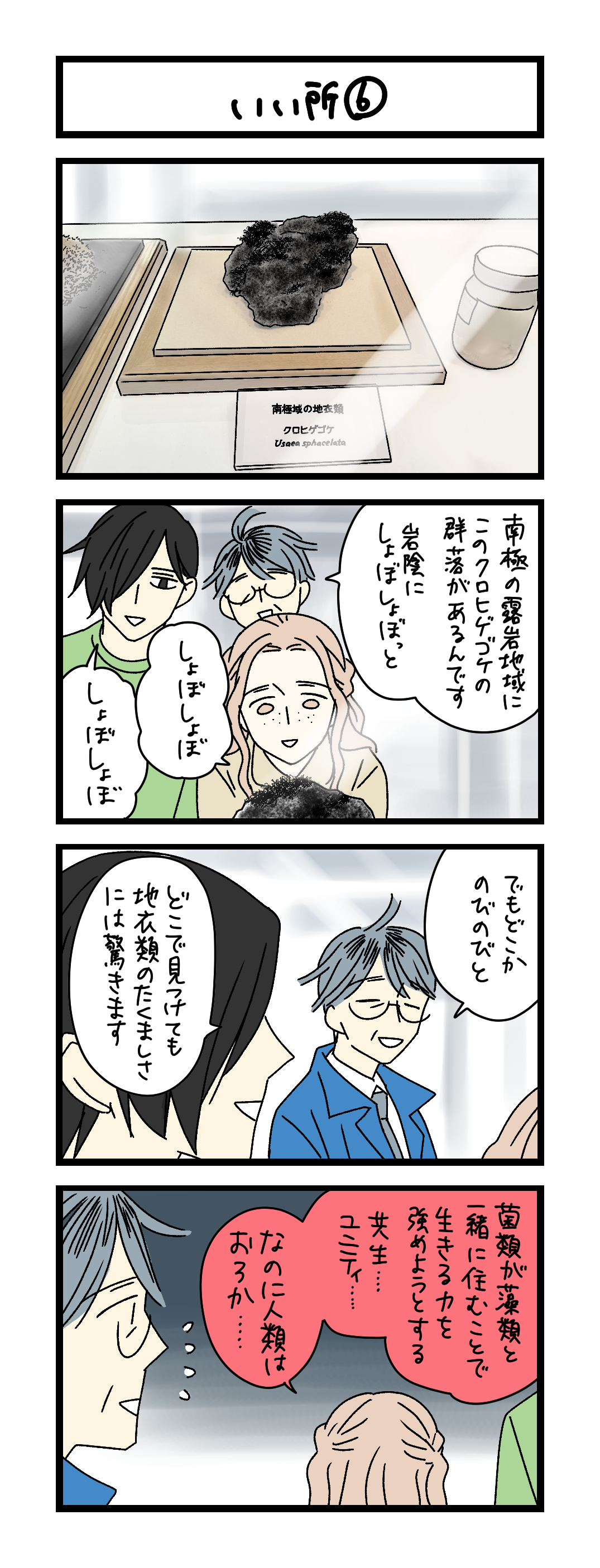 夜の4コマ部屋】いい所⑥ / サチコと神ねこ様 第2678回 / wako先生