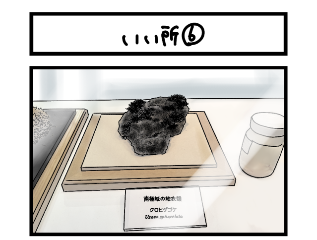 【夜の4コマ部屋】いい所⑥ / サチコと神ねこ様 第2678回 / wako先生 【夜の4コマ部屋】いい所⑥ / サチコと神ねこ様 第2678回 / wako先生